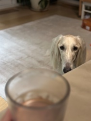 95c9860e-34bc-49a6-a256-e8754aafed86