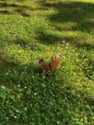 287bd783-992f-4264-a2b0-a10867fc5267