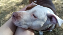 1705e38f-145a-48ed-92a1-5bb05b4493ea