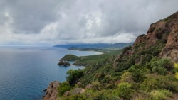 322b0336-6069-4489-b1b8-08d786191d39