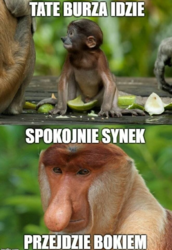 8334182f-3953-4c62-92c7-7f6512219226