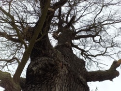 864f32cd-17ed-4723-98ea-6d0053212ae5