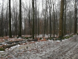 6a5c3c91-525e-4538-bc34-23a2c24205a0