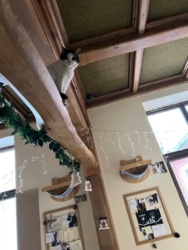 5c30e35b-f723-4321-82bc-416435540c2f