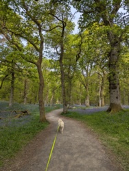 674d214b-57b5-422f-a205-22350dbf93b6