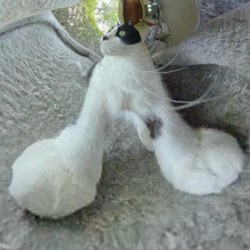 80bc83ac-314d-4b48-8456-a39aeaf42b0b