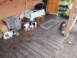 2d7fe3e0-3e50-47ed-8e24-8e1fd848c8ed