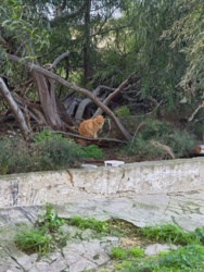 29c52bf1-df2b-4b74-bf5a-cb5e2e9ba6ae