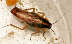 50187c7d-0949-49fd-819a-0aa11c393e3e