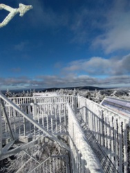 971622de-a85a-4981-998e-bbaa2fc805cf