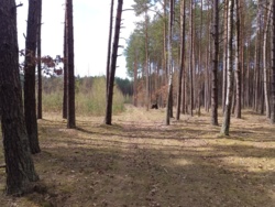 71584345-dca7-4dc2-901f-92d7dab644dd