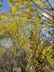 3761bf5d-bd1b-45b3-9c99-e0efbf790d0f