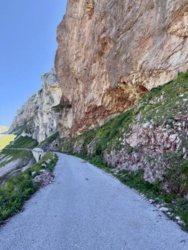 b8a4dcf0-933c-4c34-b743-db687098004a