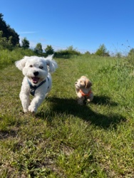 3de226e6-e105-4ea4-8f6f-a7d14edb4410