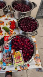 6f8dff9f-2af0-434c-9503-eab480dde30d