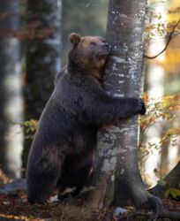 485c76fd-0b37-49e6-a60f-8b95b5ff7d6c