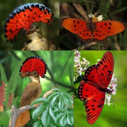 5911a0d7-a542-4d93-ba13-b45462618f92