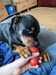 59c1ad22-7782-4ae4-a9c2-e8b60fc5721c