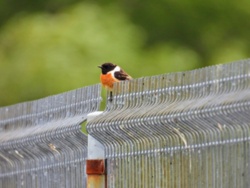 714ce75f-3350-46ec-be67-ba57cfdb8e08