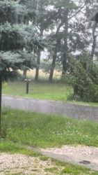 fb098b18-e51a-4e74-9da3-b582d3c3e6f3