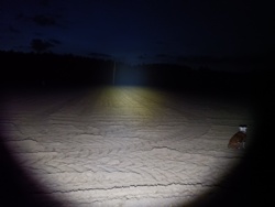 41e37d15-0f84-4495-adfd-37938c2e6341