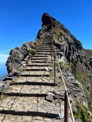 ca184eba-51e2-45d2-90f3-38070837f1df