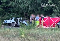 10c2faec-e2ce-4515-80df-21b51da39d28