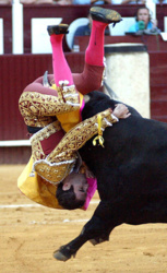 4de8e3c4-49be-451c-b579-f1582dce3ab6