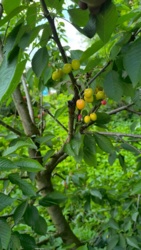 9cc4302a-37e8-45f7-bfae-9002c873519c