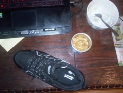 f0ec03cd-b517-4316-aa99-a73545862b6a