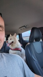 4a1e80a3-25ad-4c35-bde3-4a2ea67e5599