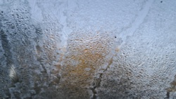 bd89696e-a905-49e4-8127-ee1af5e919ed