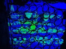 4450d86d-b844-4702-8224-ffaac538d219