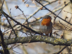 7bfad2b2-bdd8-481f-a223-afdd3c2c2c87