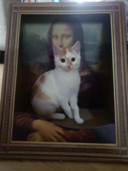 54c968fd-6692-4283-abc2-931ecc3802a7