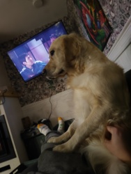 129e8126-b7a5-4c4c-bebc-0015e9e563ef