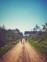 31a3c14c-aa5c-41f1-a7ed-02a342505e86