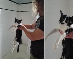 b22090ce-4522-49a8-842d-60afe962f01e