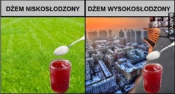 68c134d7-f9f2-416e-a6b3-116ca11fc8e0