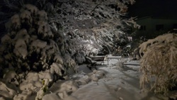 23fffba6-43b4-4607-9627-82e3a07d733a