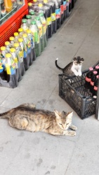 b3ff2ebb-b612-46f9-973f-7ef7041cd3cd