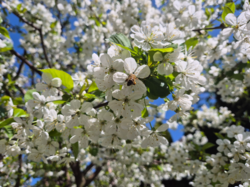 4ead22c4-a9d7-4e52-b3ba-bd67fe25af93