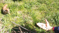 914b2ce2-f914-41c3-9b7e-5ada69c7b494