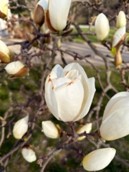 06a70ba1-3859-4183-86c1-3512b92b1c48