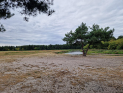 18b84f83-0a8e-4785-aa86-49552d30fc23