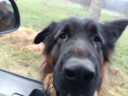 dc3328b2-e434-4986-9e19-38d119635a9f