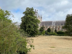 13307ab2-994d-4937-ab39-c1ef76920ba9