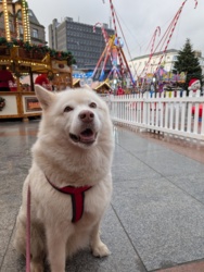 50ccae9a-2e30-4fa7-8315-605a2c239ee6