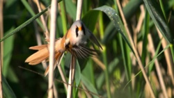 1df10ed9-bfb8-4c91-9669-8dafd1e16c7d