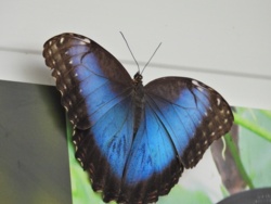 6adc8944-6843-4ab7-bb7f-ac1b32cc3bae